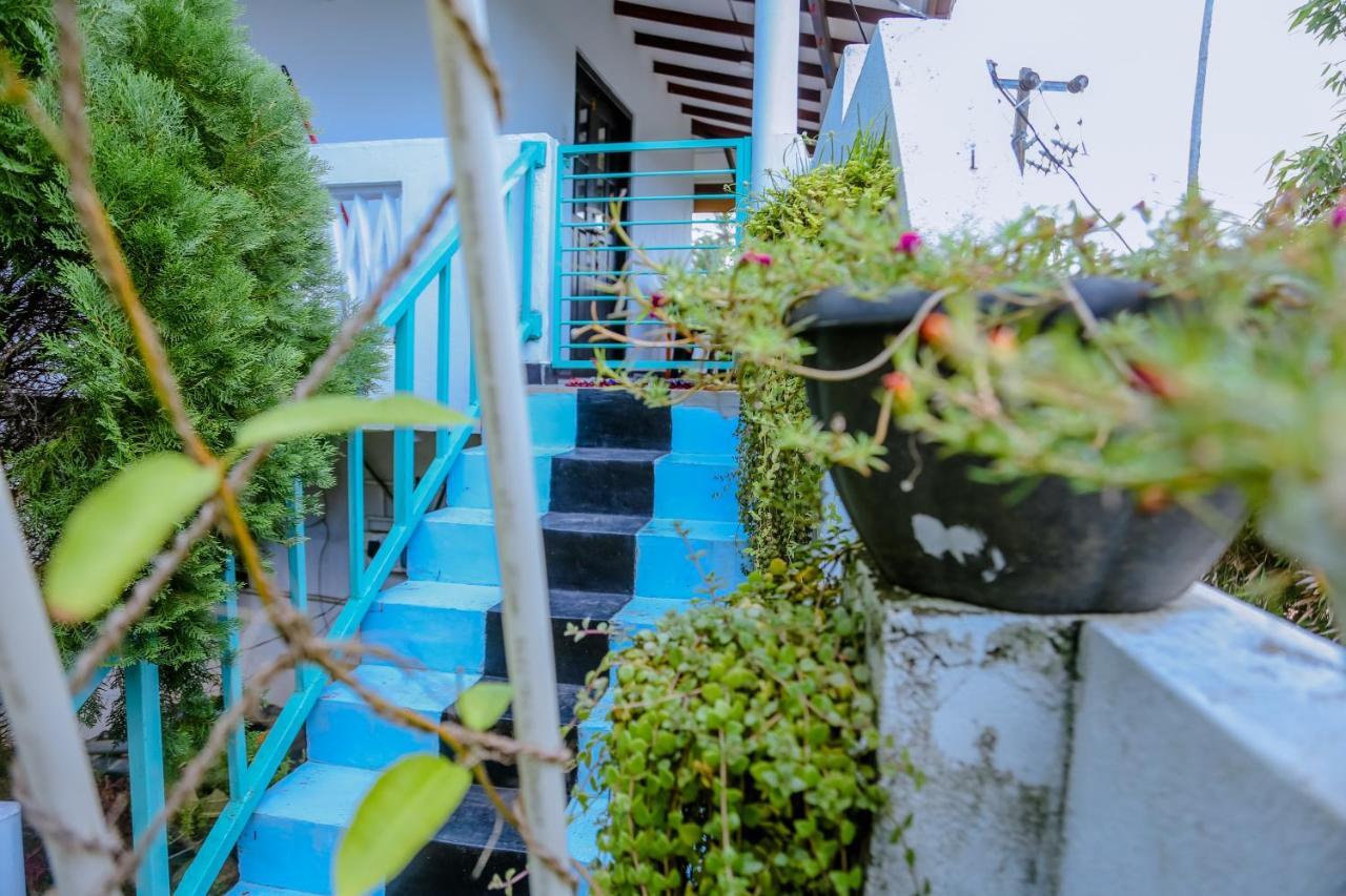 Sajana Ocean Hill Bed & Breakfast Mirissa Dış mekan fotoğraf