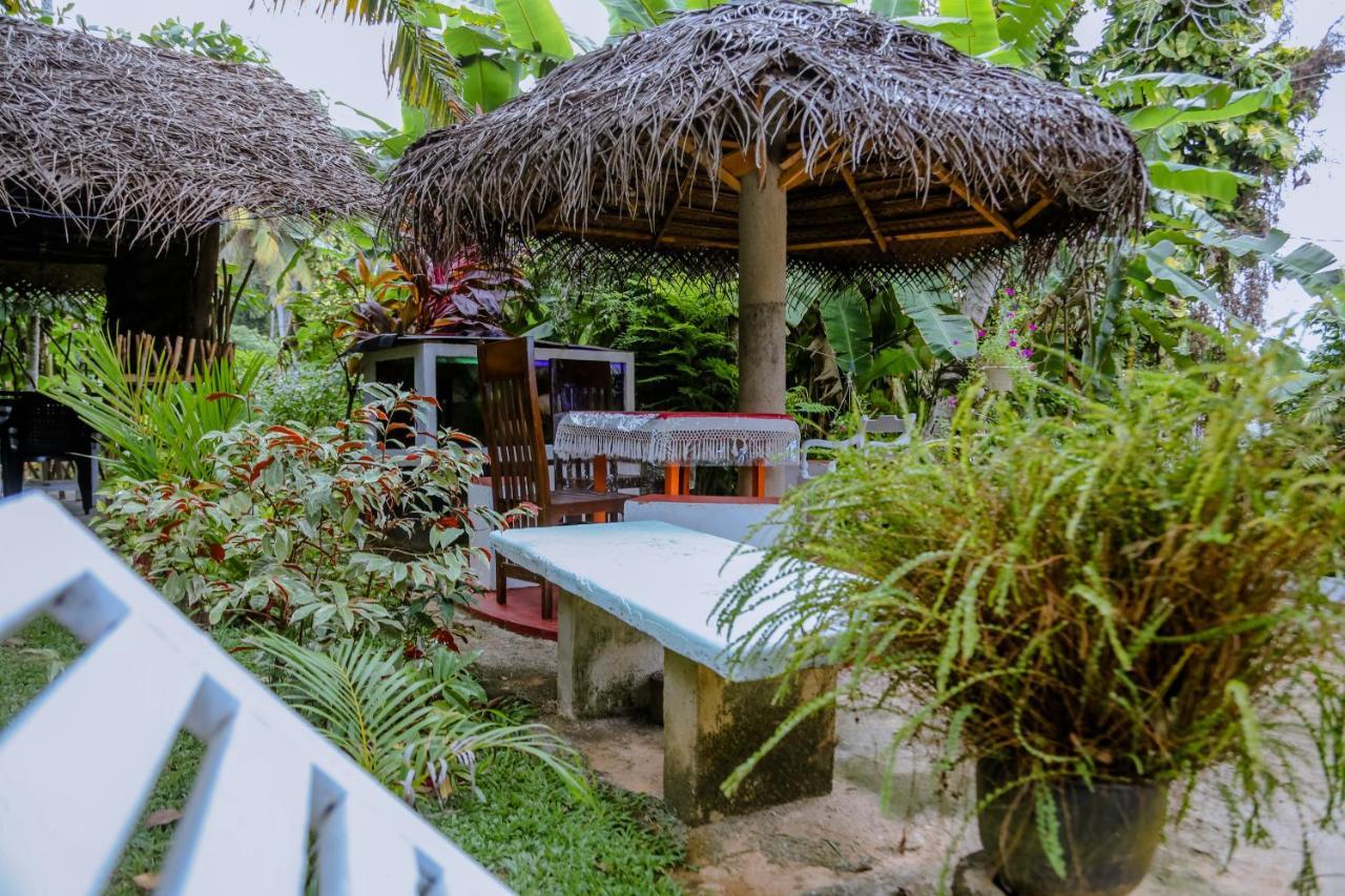Sajana Ocean Hill Bed & Breakfast Mirissa Dış mekan fotoğraf